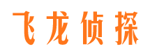 延津市侦探公司